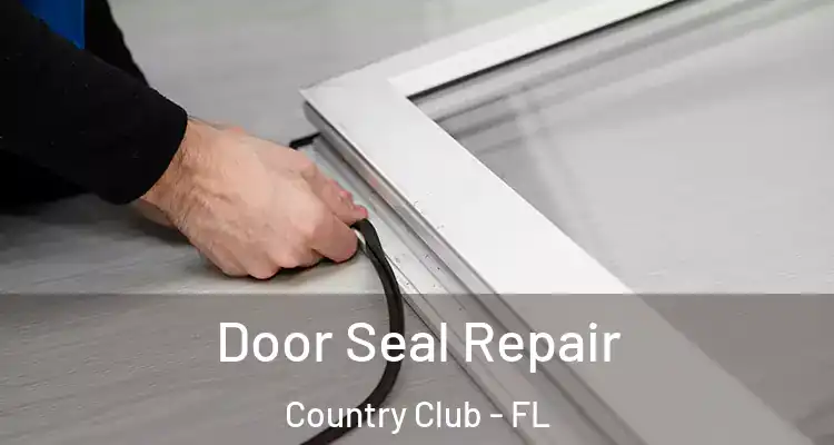  Door Seal Repair Country Club - FL