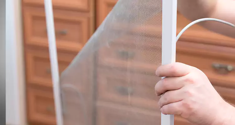 Privacy Mesh Screen Door Installation in Country Club, FL